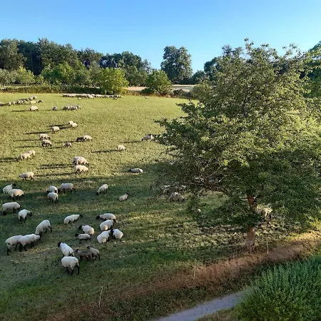 Ferienwohnung Mit Waldblick Aspach